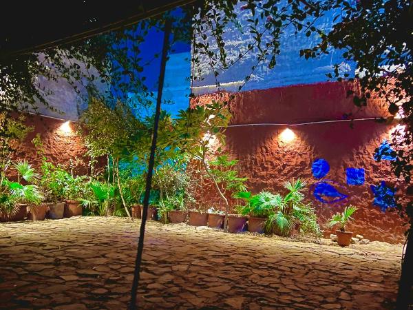 Bhoora House : photo 10 de la chambre studio avec vue sur jardin