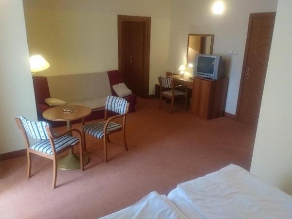 Hotel Vila Ružica- glavna zgrada i depandanse : photo 6 de la chambre suite familiale