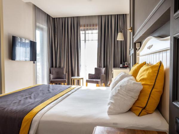 Espina Hotel : photo 1 de la chambre chambre deluxe