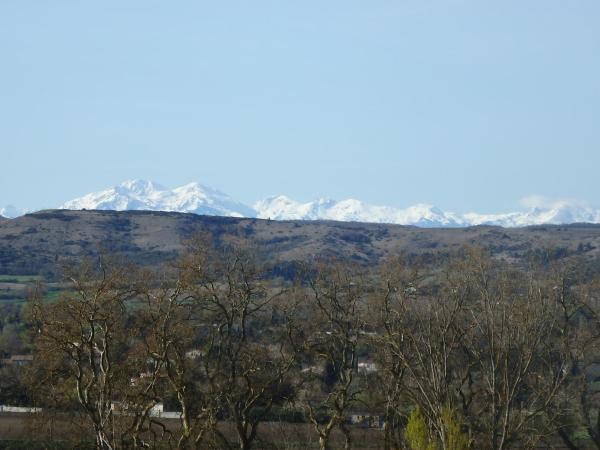 L'oustal des Fontanilles : photo 9 de la chambre chambre double