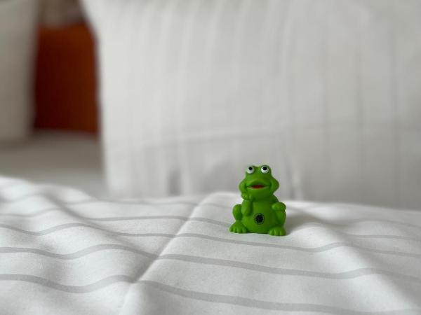 Alexander am Zoo : photo 8 de la chambre chambre double classique - accessible aux personnes à mobilité réduite