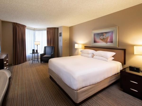 The Clyde Hotel : photo 2 de la chambre studio lit king-size