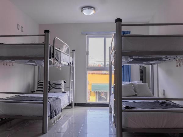Esencia Hostel Terminal Oaxaca : photo 3 de la chambre lit dans dortoir mixte de 4 lits
