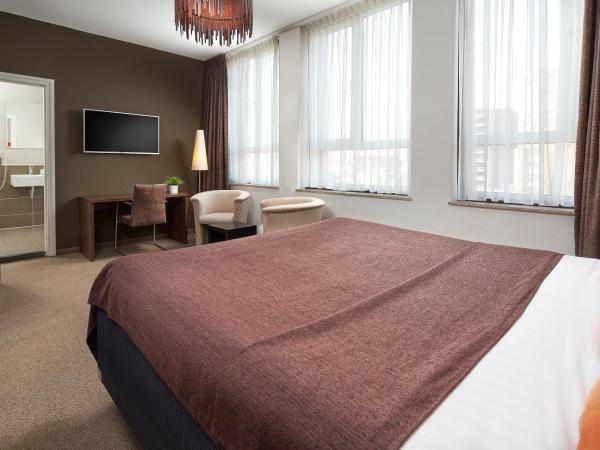 Hotel La Reine : photo 3 de la chambre chambre double supérieure