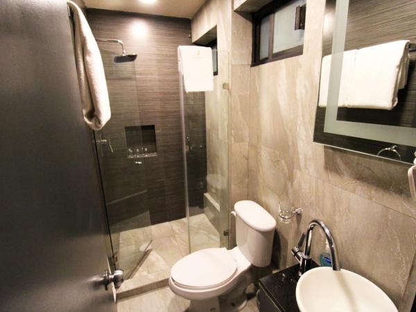 Rochester 10 : photo 8 de la chambre appartement 2 chambres