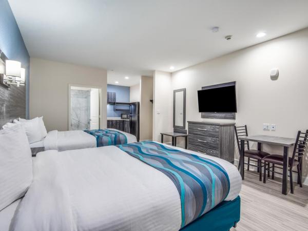 Americas Best Value Inn & Suites Houston at Hwy 6 : photo 2 de la chambre chambre lit queen-size