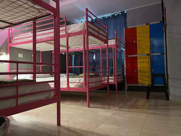 Lion Hostel : photo 3 de la chambre lit dans dortoir pour femmes de 6 lits