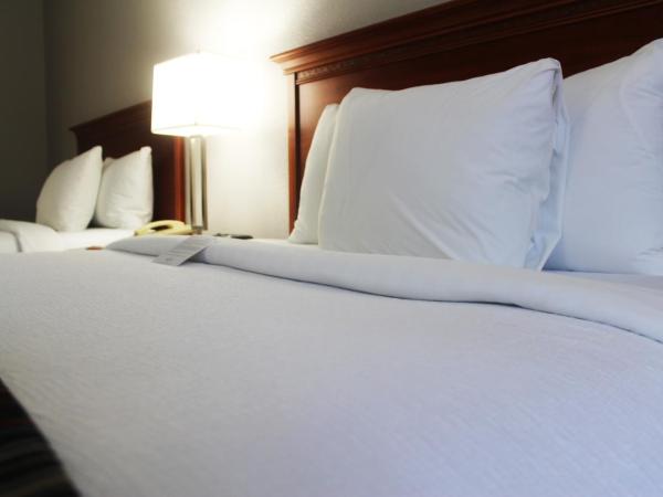 Country Inn & Suites by Radisson, Lackland AFB San Antonio , TX : photo 3 de la chambre chambre 2 lits queen-size - non-fumeurs