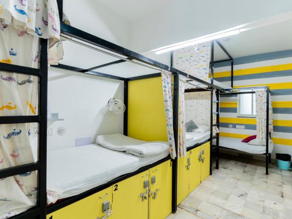 Moustache Udaipur : photo 1 de la chambre lit dans dortoir mixte de 6 lits