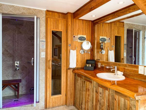 Charming Luxury Lodge & Private Spa : photo 2 de la chambre suite de luxe avec spa privé