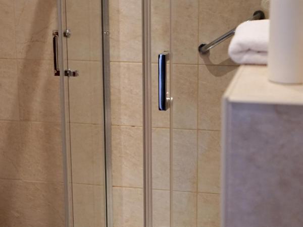 Śródka Boutique Hotel : photo 2 de la chambre chambre simple