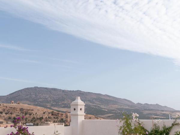 Riad Fes - Relais & Châteaux : photo 1 de la chambre suite ambassadeur