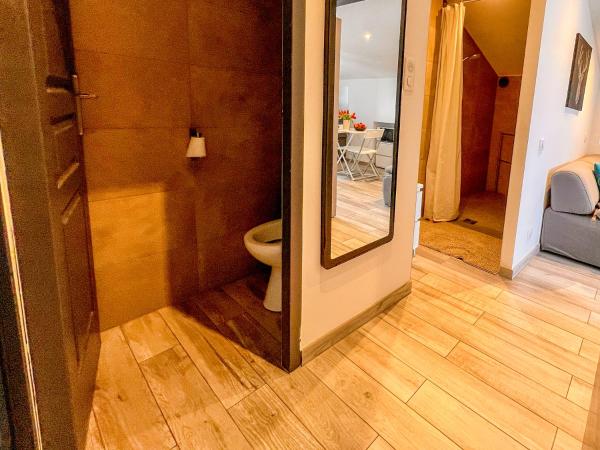 Les Studios du Pêcheur - Hypercentre - Clim - City Trip : photo 9 de la chambre studio lit king-size avec canapé-lit