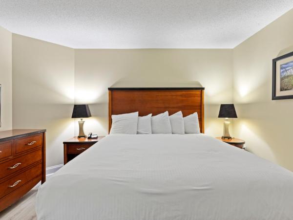 Sandy Beach Resort : photo 2 de la chambre studio lit king-size