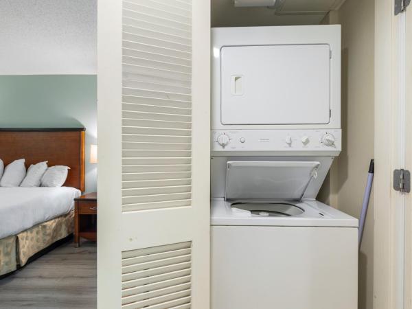 Sandy Beach Resort : photo 3 de la chambre suite deluxe avec lit king-size