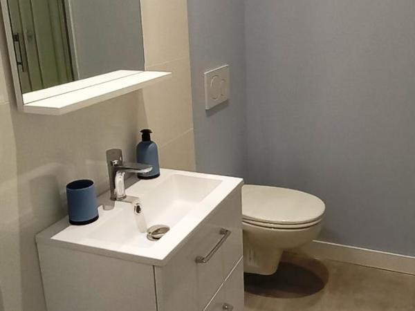 Histoire de Loire - RABELAIS : photo 8 de la chambre chambre double avec salle de bains privative