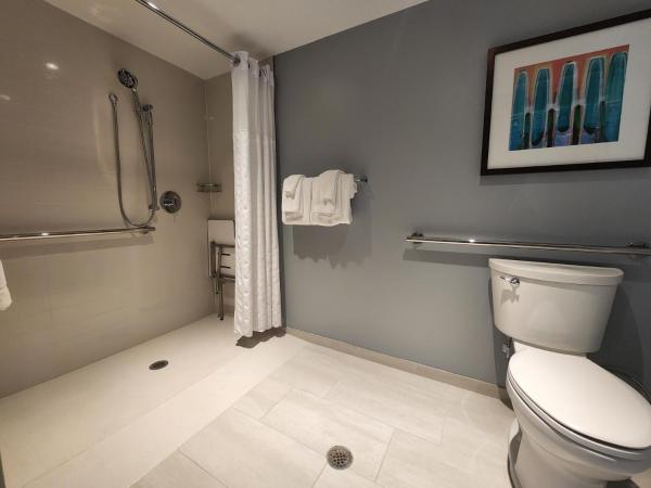 Hyatt Place Colorado Springs Garden Of The Gods : photo 5 de la chambre chambre lit king-size avec canapé-lit et douche accessible en fauteuil roulant - accessible aux personnes à mobilité réduite