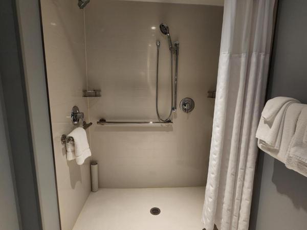 Hyatt Place Colorado Springs Garden Of The Gods : photo 6 de la chambre chambre lit king-size avec canapé-lit et douche accessible en fauteuil roulant - accessible aux personnes à mobilité réduite