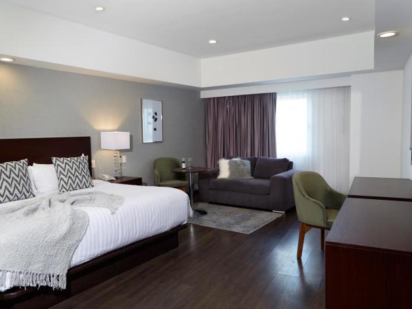 Ejecutivo Express Guadalajara Providencia - Av México : photo 1 de la chambre suite exécutive