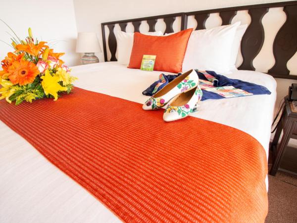 Hotel Victoria Oaxaca : photo 2 de la chambre chambre lit king-size supérieure