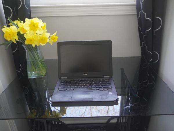 eKstasis Hostel & Urban Farm : photo 6 de la chambre dortoir mixte de 4 lits