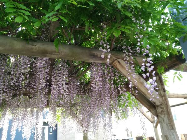 民泊 B&B yoshida : photo 7 de la chambre chambre double