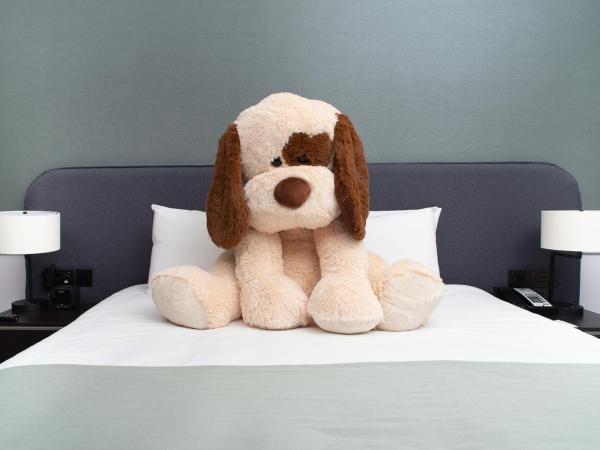 Hyatt House Manchester : photo 6 de la chambre chambre familiale