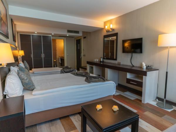 Lazz By Ketenci Hotel : photo 9 de la chambre chambre double ou lits jumeaux standard