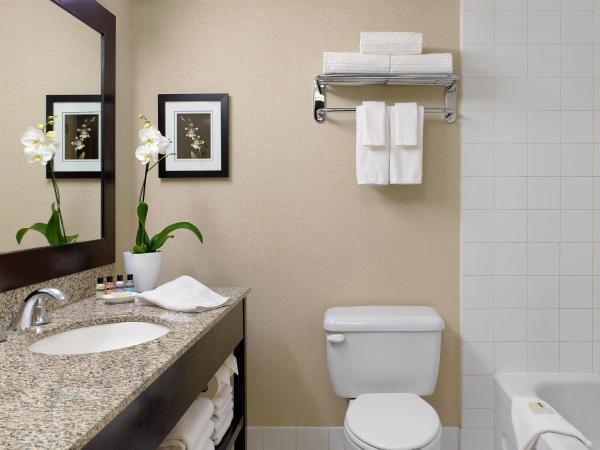 Chelsea Hotel Toronto : photo 4 de la chambre studio lit king-size avec canapé-lit