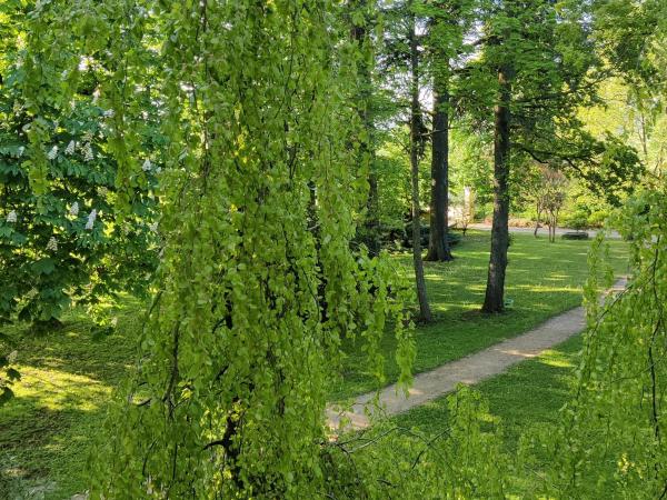 Villa Ghia : photo 5 de la chambre chambre lit king-size - vue sur piscine