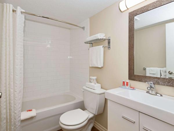 Econo Lodge Inn & Suites : photo 5 de la chambre chambre standard avec 2 lits queen-size - non-fumeurs/couloir extérieur