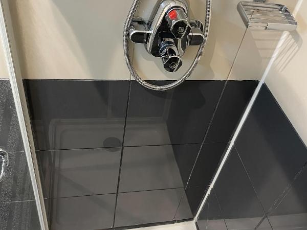 Pembridge Palace Hotel : photo 4 de la chambre chambre simple avec salle de bains extérieure privative