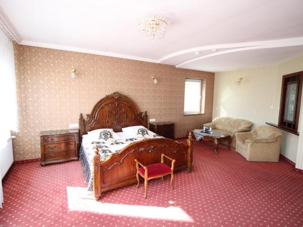 Złote Arkady : photo 8 de la chambre appartement avec baignoire spa