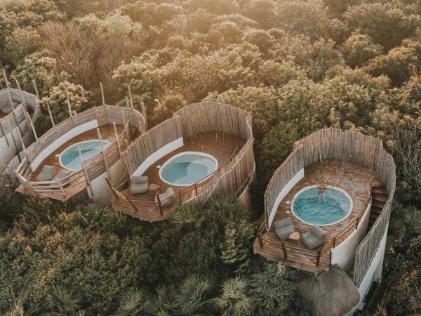 Papaya Playa Project : photo 2 de la chambre hébergement casita jungle piscine sur toit