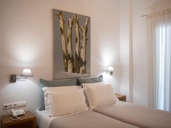 Elena Hotel Mykonos : photo 5 de la chambre chambre double standard