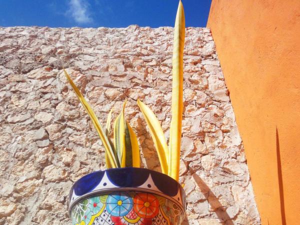 Merida Santiago Hotel Boutique : photo 10 de la chambre suite lit king-size avec terrasse privée - vue sur piscine