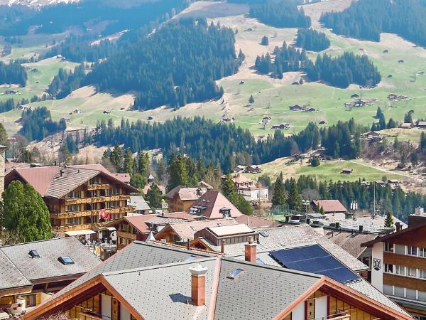 Apart Hotel Adelboden am Dorfplatz : photo 6 de la chambre comfort mountain loft apartment