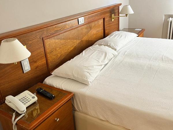 Bristol Hotel : photo 1 de la chambre standard room- large bed- interior view