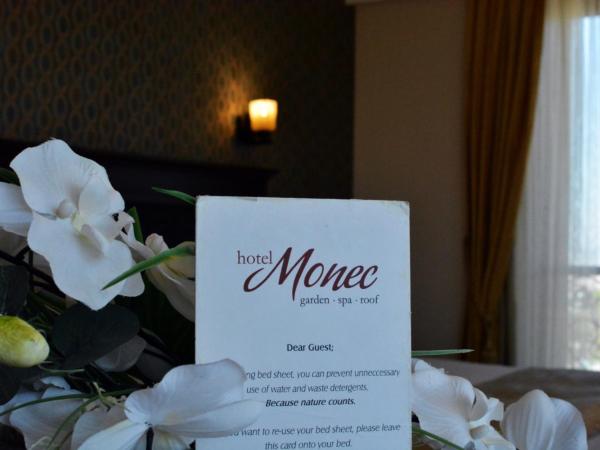 Hotel Monec : photo 9 de la chambre chambre double ou lits jumeaux standard