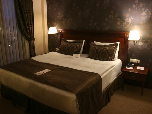 Hotel Monec : photo 7 de la chambre chambre double ou lits jumeaux standard