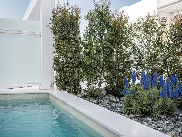 Lagon Life Spirit Boutique Hotel - Adults Only : photo 9 de la chambre chambre double avec piscine privée - vue sur jardin