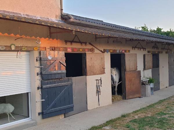 les Box : photo 8 de la chambre chambre double avec salle de bains privative