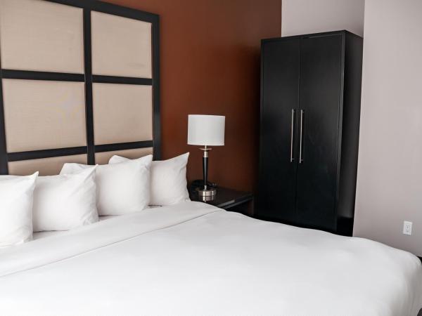 M Montreal Hostel : photo 4 de la chambre appartement 1 chambre