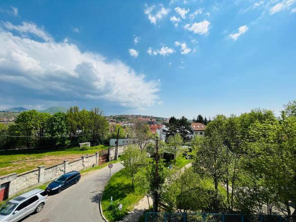 Hotel Korona Wellness, Rendezvény és Borszálloda : photo 8 de la chambre suite présidentielle pour 2 personnes