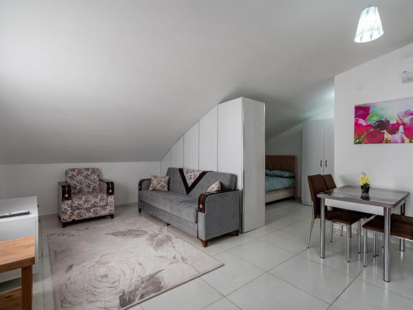 Sare Suites Downtown : photo 6 de la chambre studio triple standard