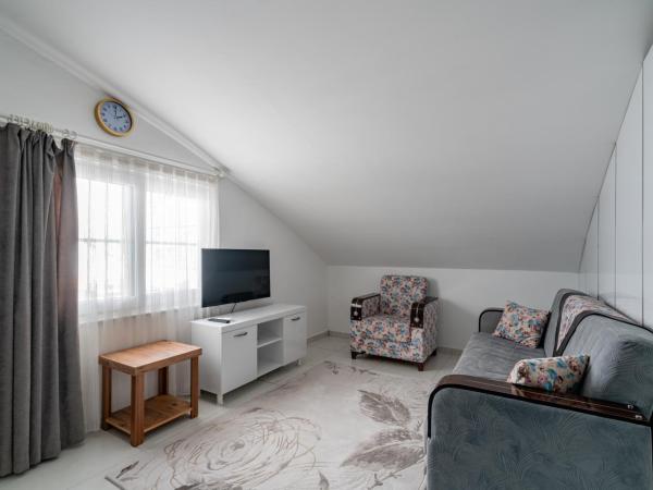 Sare Suites Downtown : photo 7 de la chambre studio triple standard