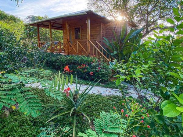 EL GALLO ECOLODGE : photo 3 de la chambre villa - vue sur jardin