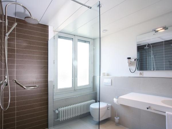 Hotel Euler Basel : photo 4 de la chambre chambre simple Économique