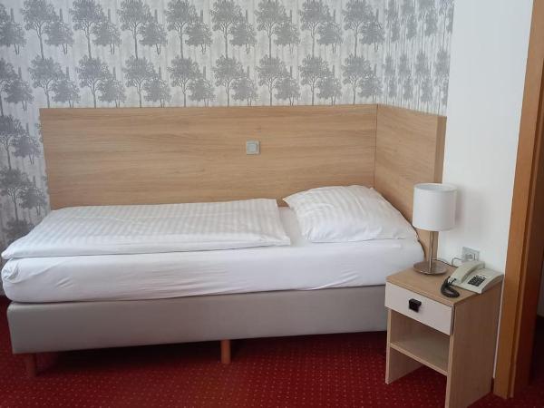 Hotel Flora : photo 1 de la chambre chambre simple