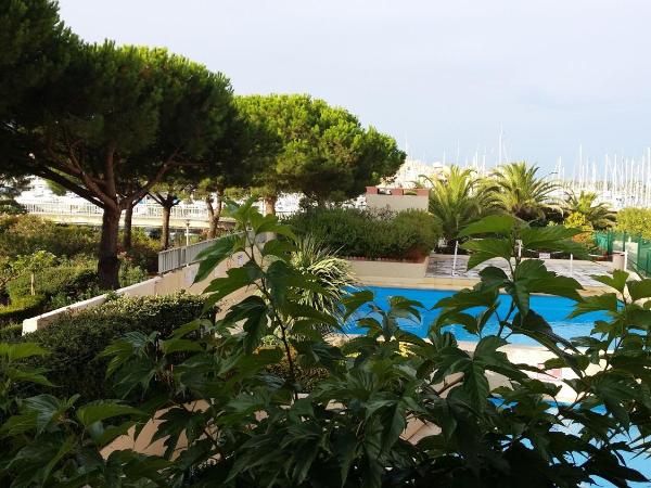 La Voile D' Or : photo 4 de la chambre chambre familiale - vue sur piscine